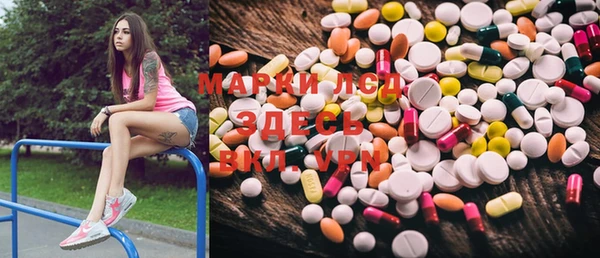 мяу мяу кристалл Пионерский